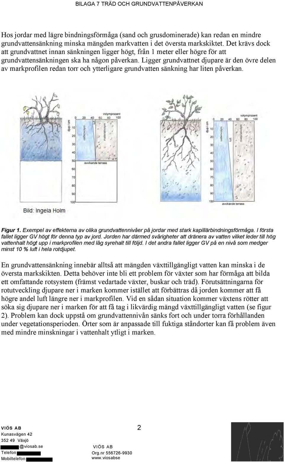 Ligger grundvattnet djupare är den övre delen av markprofilen redan torr och ytterligare grundvatten sänkning har liten påverkan. Figur 1.