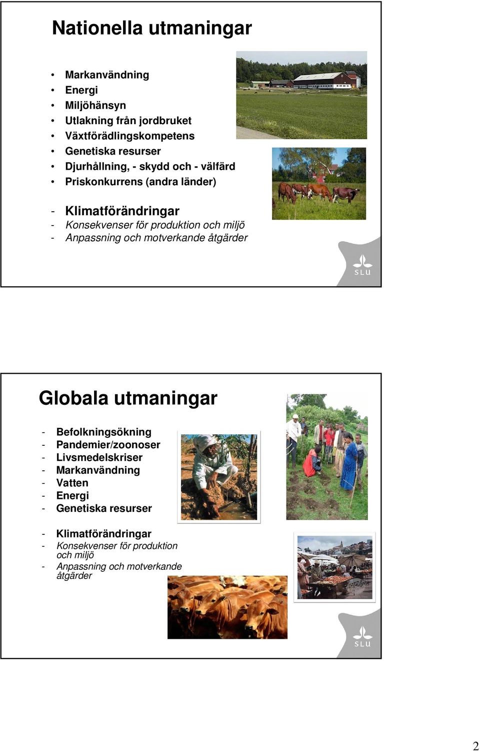 Anpassning och motverkande åtgärder Globala utmaningar - Befolkningsökning - Pandemier/zoonoser - Livsmedelskriser - Markanvändning