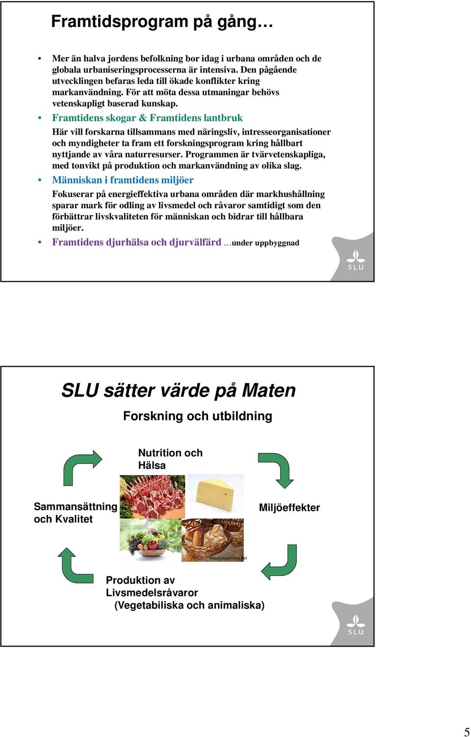 Framtidens skogar & Framtidens lantbruk Här vill forskarna tillsammans med näringsliv, intresseorganisationer och myndigheter ta fram ett forskningsprogram kring hållbart nyttjande av våra