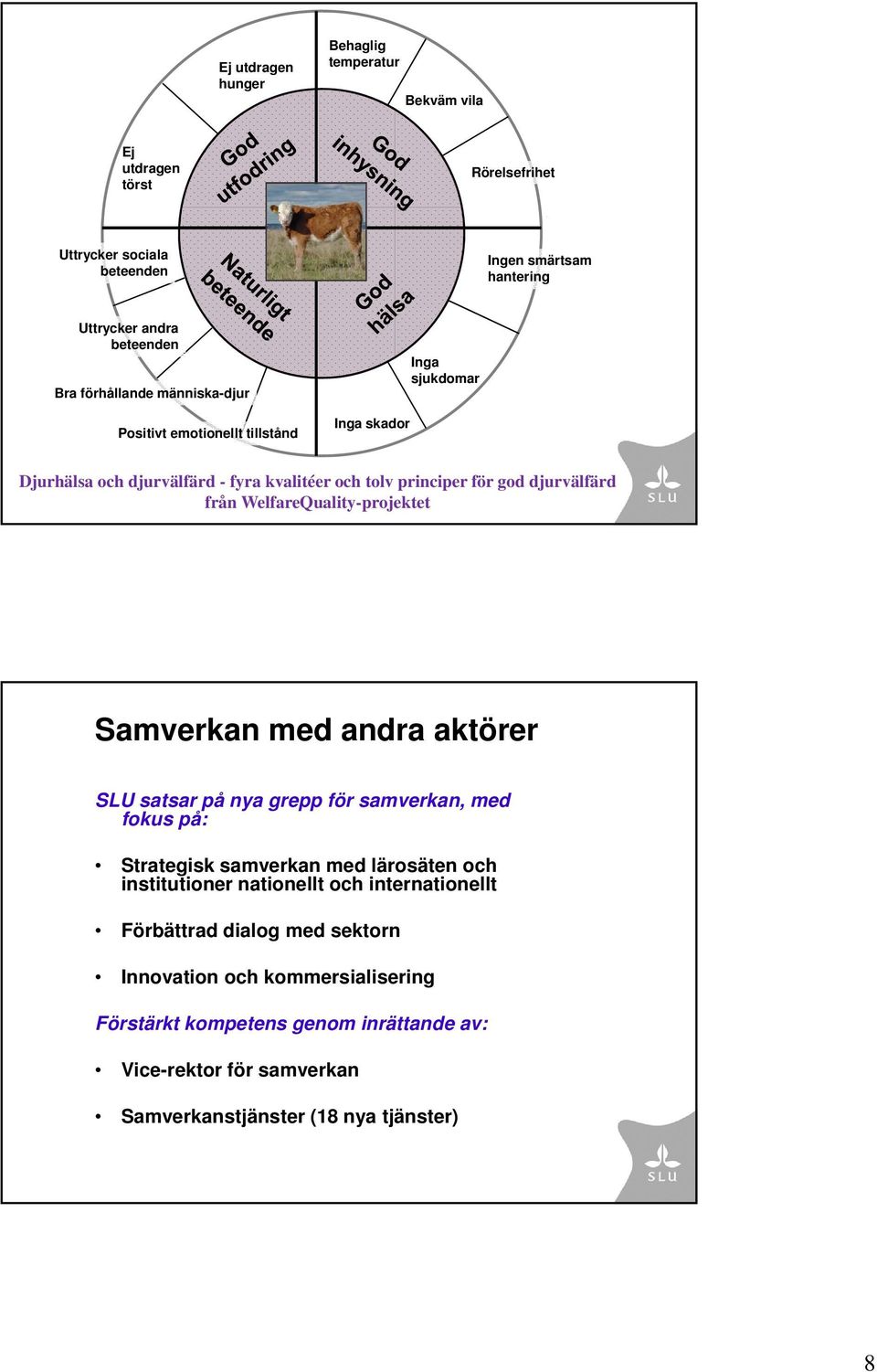 WelfareQuality-projektet Samverkan med andra aktörer SLU satsar på nya grepp för samverkan, med fokus på: Strategisk samverkan med lärosäten och institutioner nationellt och