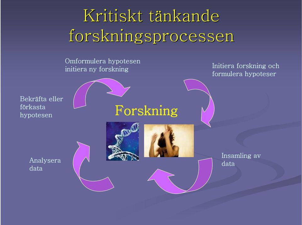 och formulera hypoteser Bekräfta eller förkasta