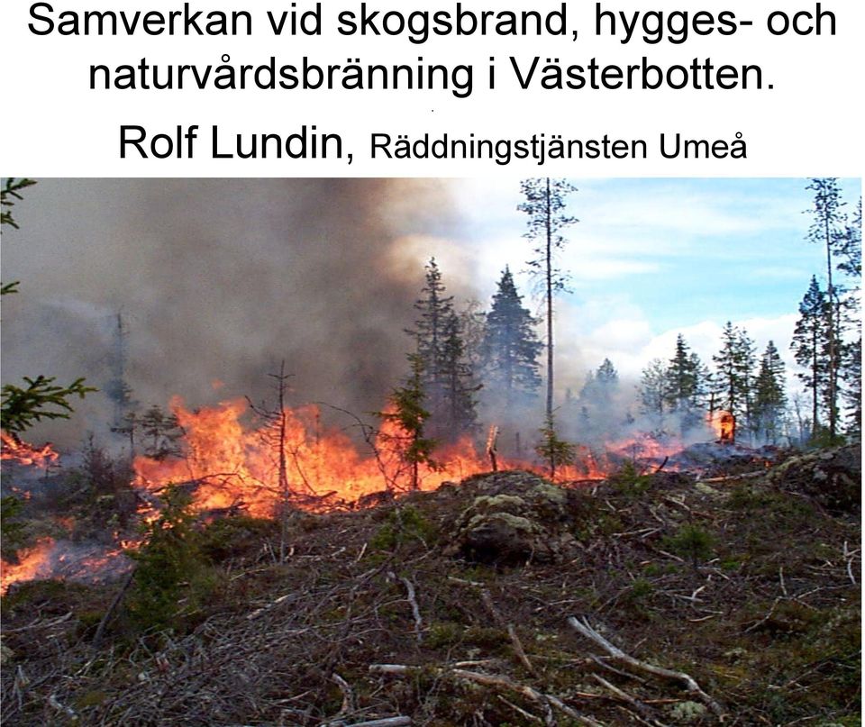 naturvårdsbränning i