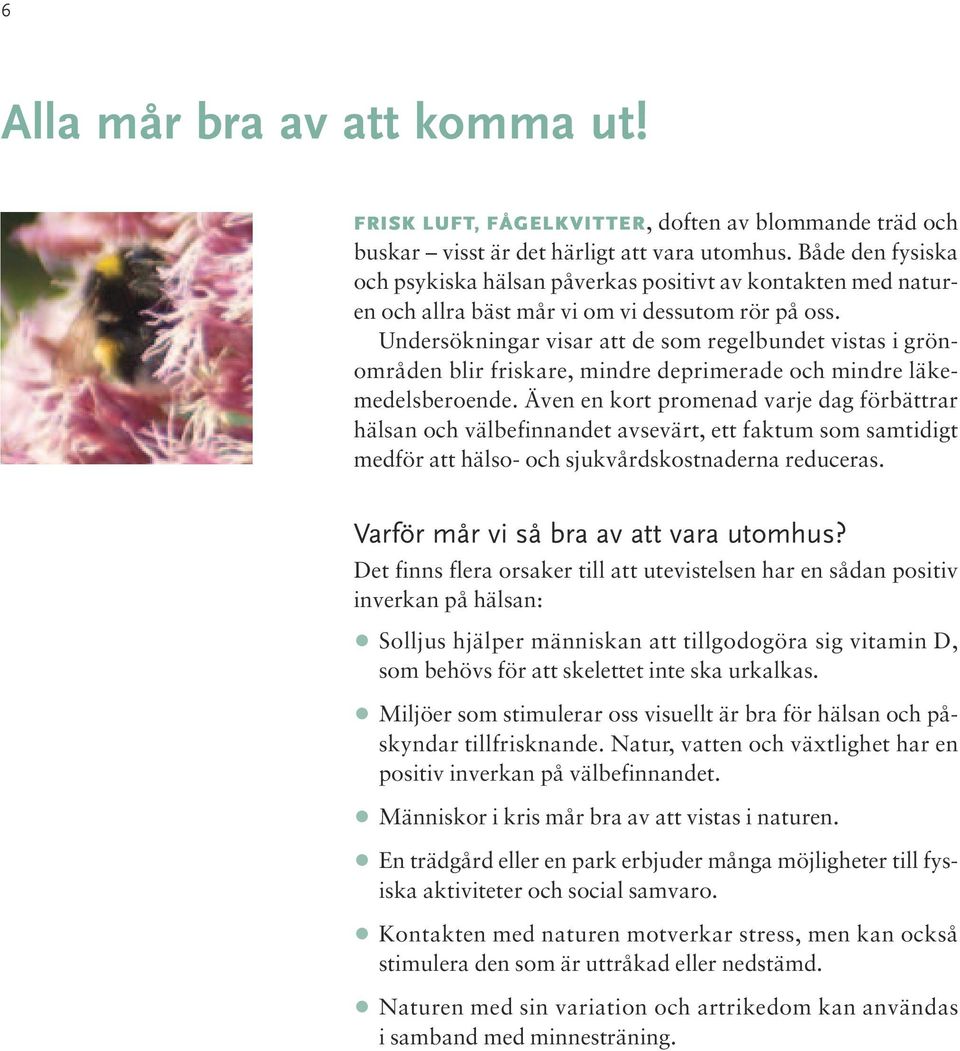 Undersökningar visar att de som regelbundet vistas i grönområden blir friskare, mindre deprimerade och mindre läkemedelsberoende.