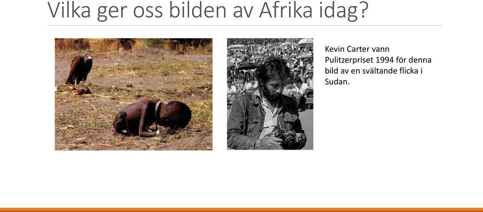 Pulitzerpriset 1994 för denna