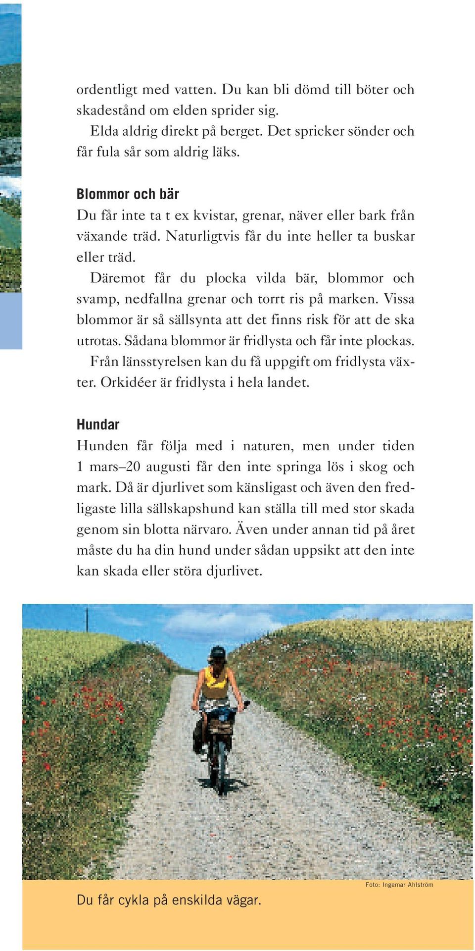 Däremot får du plocka vilda bär, blommor och svamp, nedfallna grenar och torrt ris på marken. Vissa blommor är så sällsynta att det finns risk för att de ska utrotas.