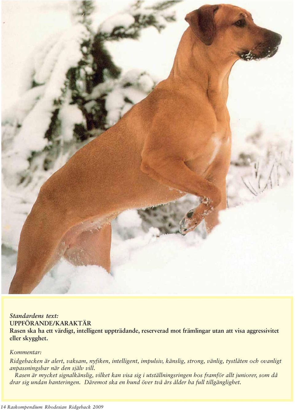 Ridgebacken är alert, vaksam, nyfiken, intelligent, impulsiv, känslig, strong, vänlig, tystlåten och ovanligt anpassningsbar när den