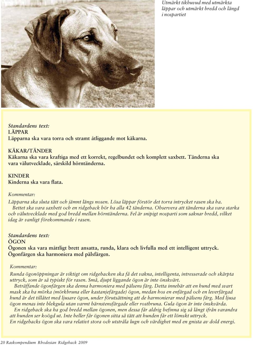 Läpparna ska sluta tätt och jämnt längs nosen. Lösa läppar förstör det torra intrycket rasen ska ha. Bettet ska vara saxbett och en ridgeback bör ha alla 42 tänderna.