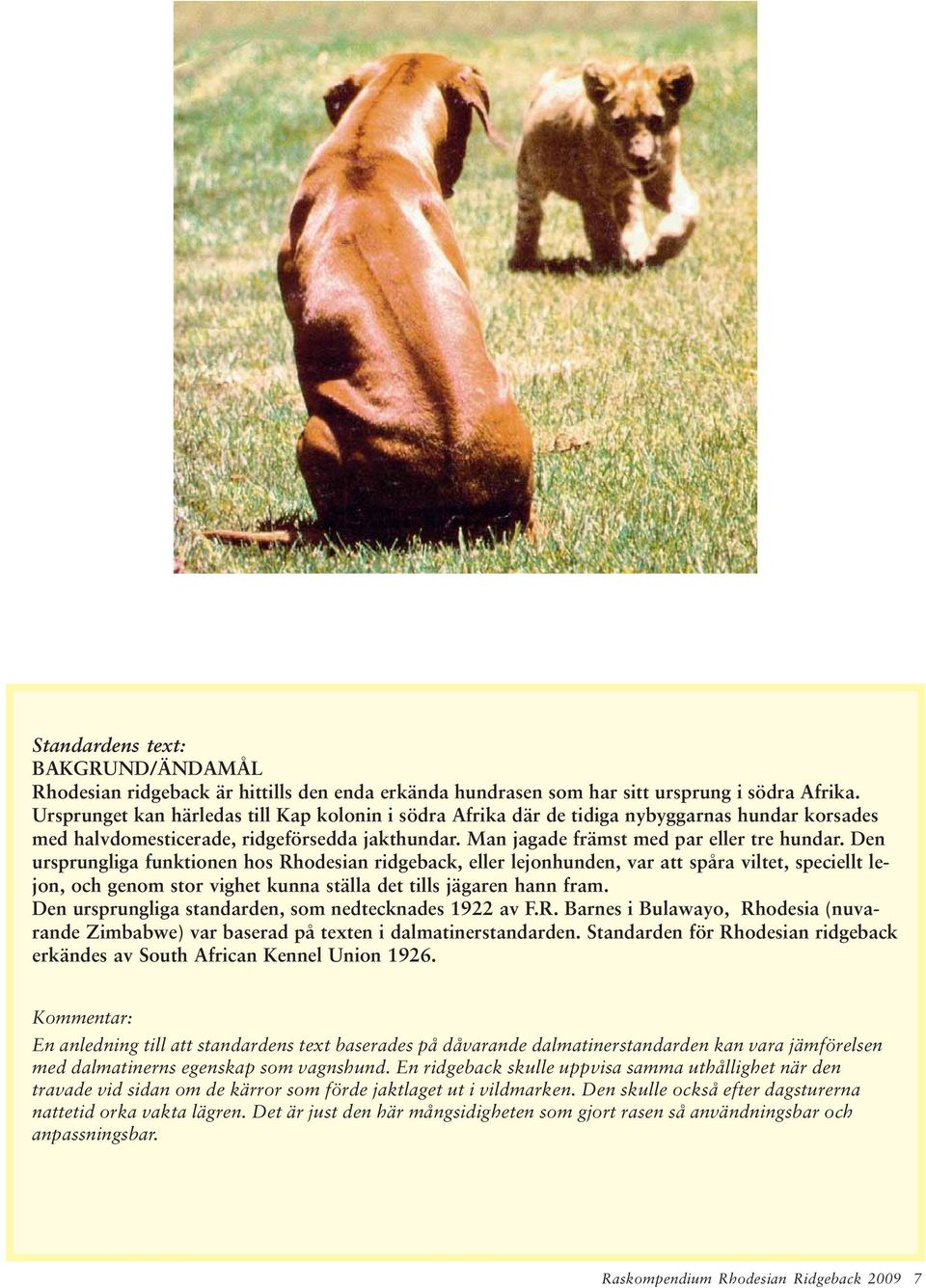 Den ursprungliga funktionen hos Rhodesian ridgeback, eller lejonhunden, var att spåra viltet, speciellt lejon, och genom stor vighet kunna ställa det tills jägaren hann fram.