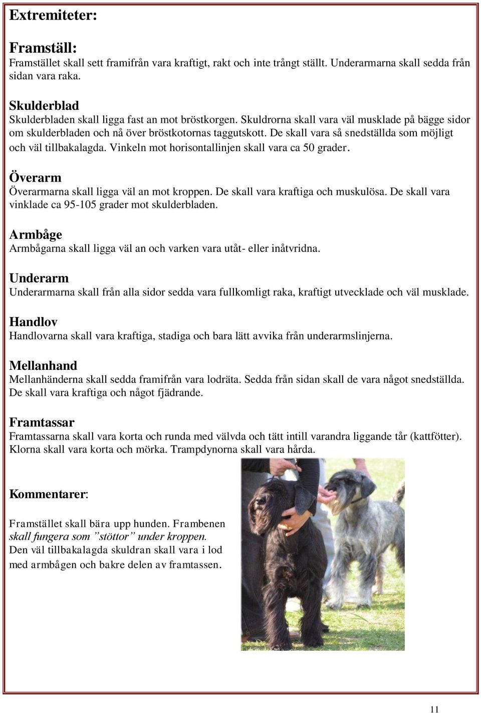 De skall vara så snedställda som möjligt och väl tillbakalagda. Vinkeln mot horisontallinjen skall vara ca 50 grader. Överarm Överarmarna skall ligga väl an mot kroppen.