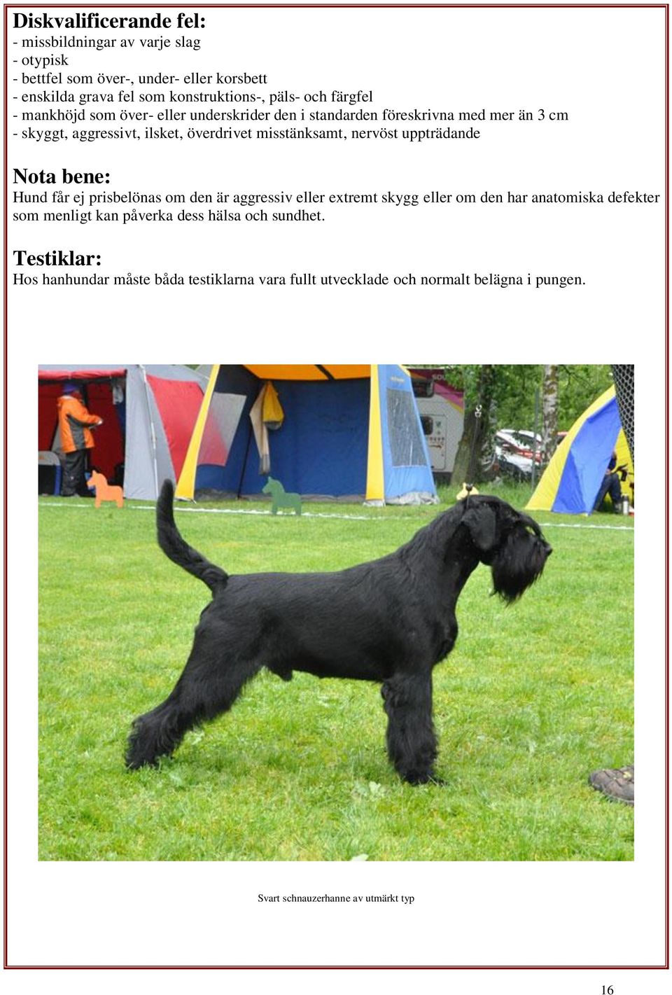 nervöst uppträdande Nota bene: Hund får ej prisbelönas om den är aggressiv eller extremt skygg eller om den har anatomiska defekter som menligt kan påverka
