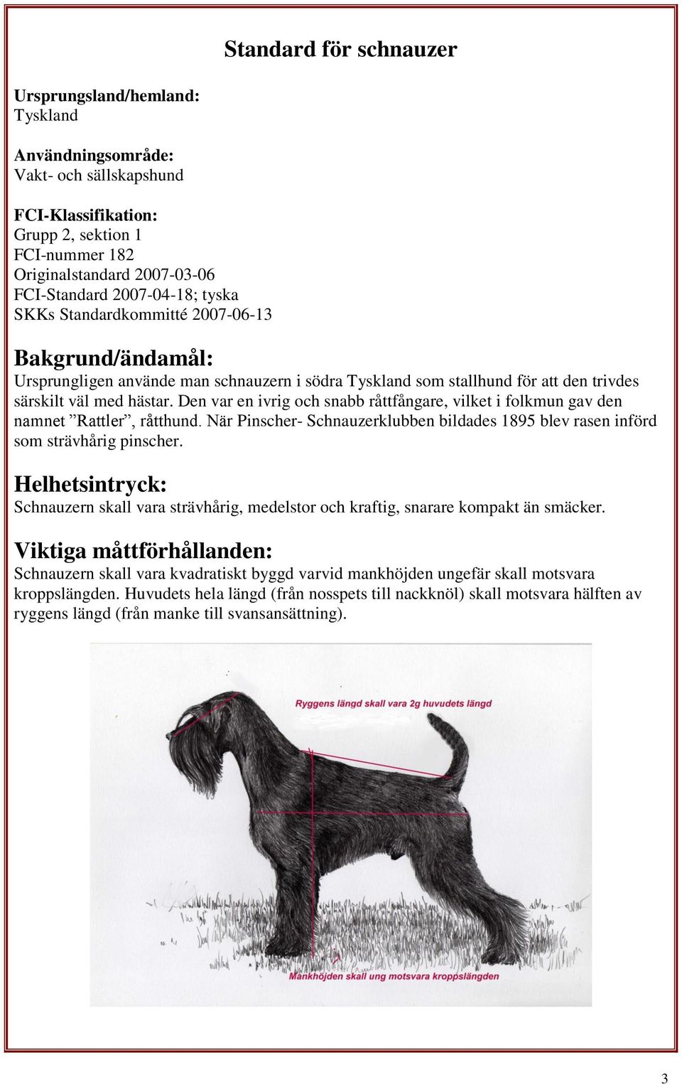 Den var en ivrig och snabb råttfångare, vilket i folkmun gav den namnet Rattler, råtthund. När Pinscher- Schnauzerklubben bildades 1895 blev rasen införd som strävhårig pinscher.
