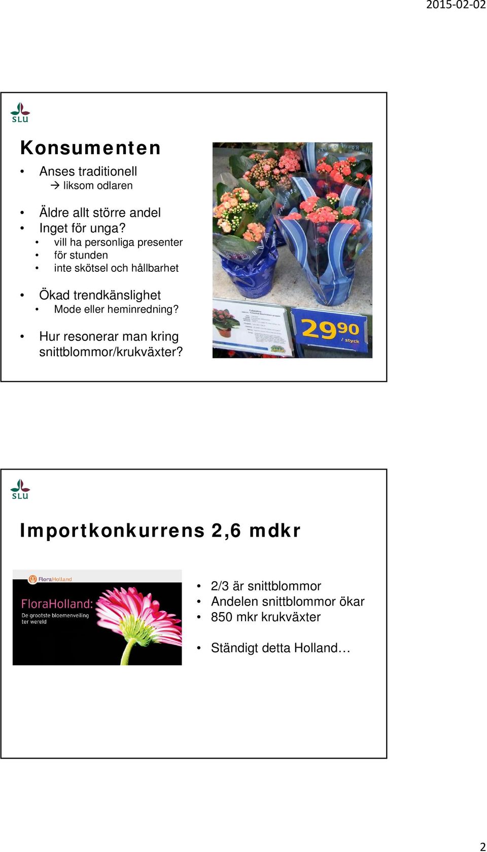 Mode eller heminredning? Hur resonerar man kring snittblommor/krukväxter?