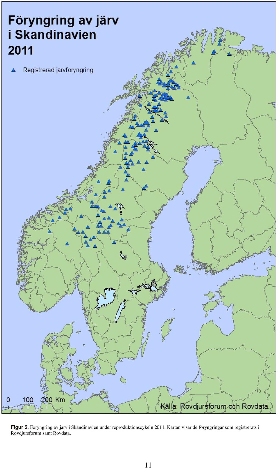 under reproduktionscykeln 2011.