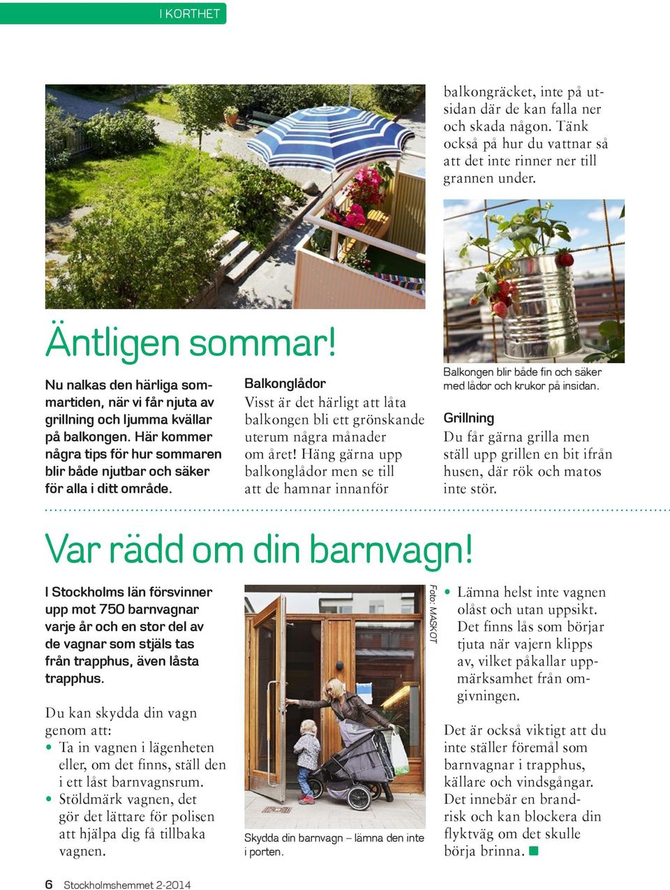Stadsodling: grönt är skönt. Stockholmshemmet. Var rädd om din barnvagn. Så  enkelt kan du sätta din egen prägel på din lägenhet - PDF Gratis nedladdning