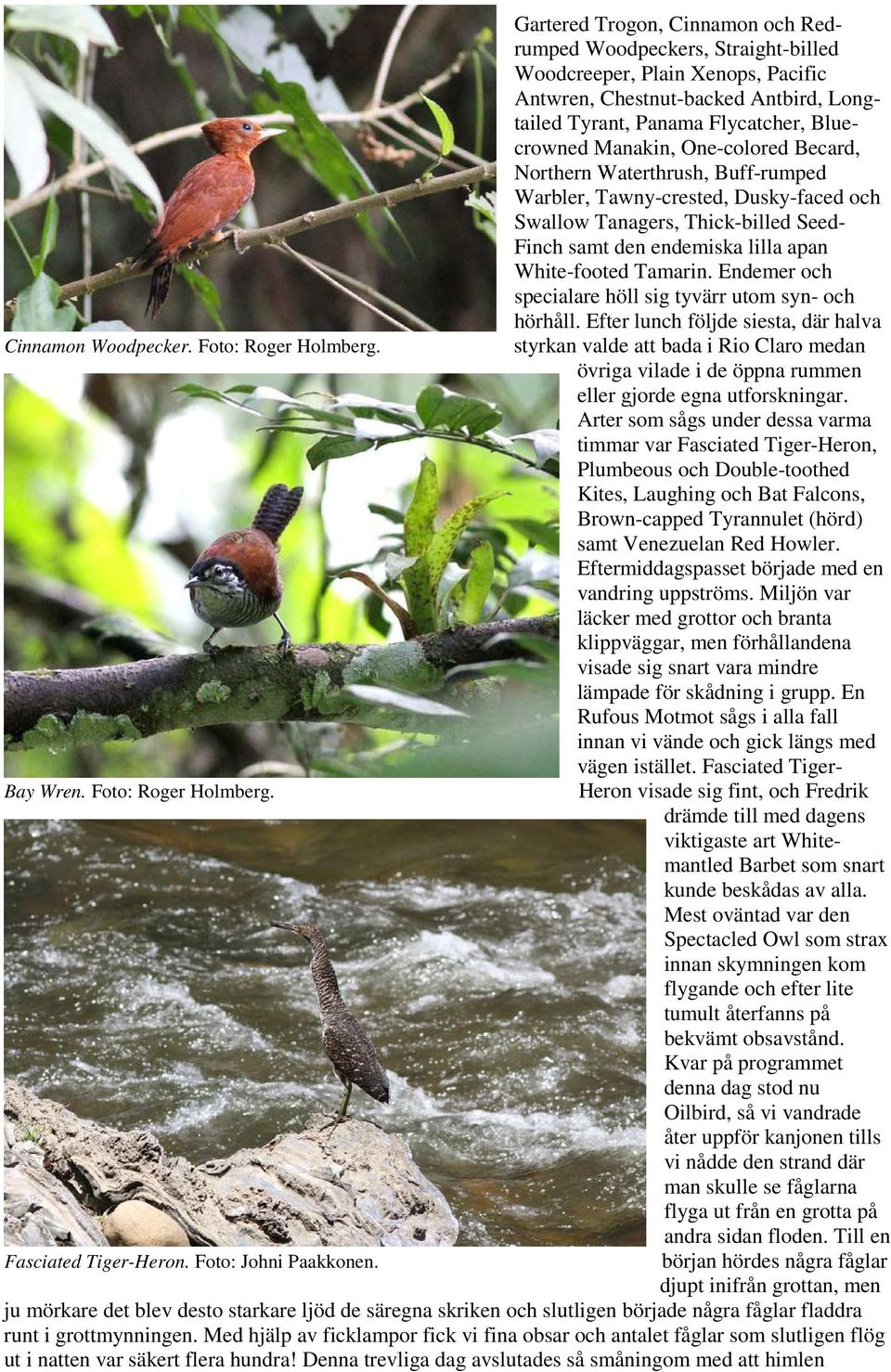 One-colored Becard, Northern Waterthrush, Buff-rumped Warbler, Tawny-crested, Dusky-faced och Swallow Tanagers, Thick-billed Seed- Finch samt den endemiska lilla apan White-footed Tamarin.