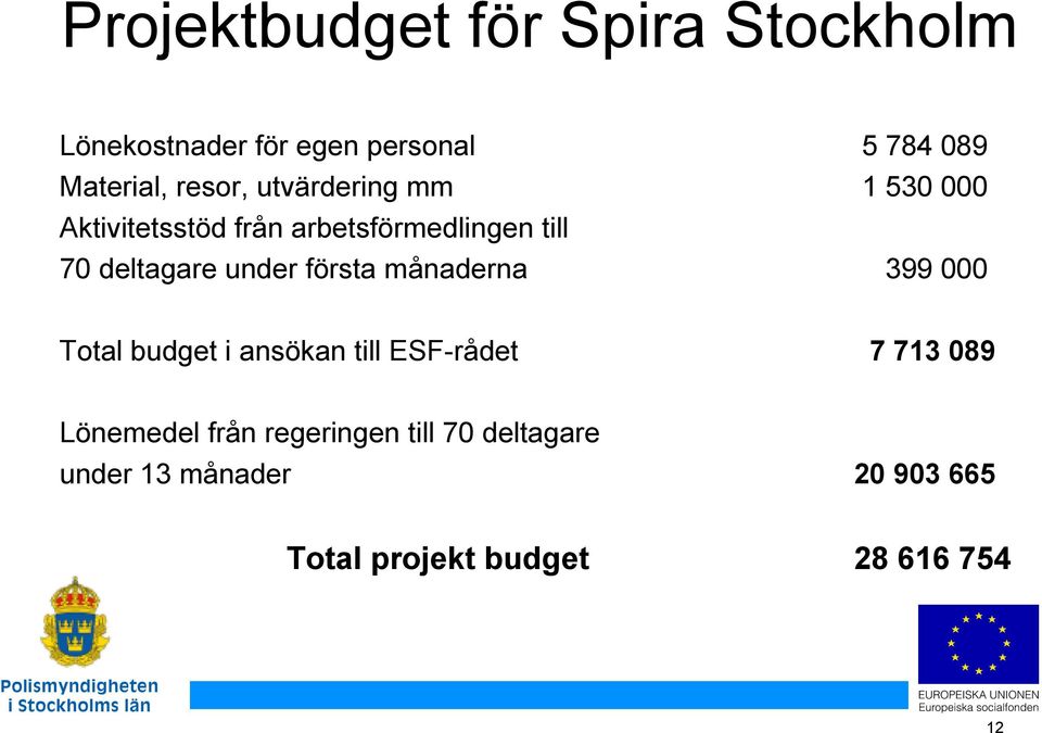 under första månaderna 399 000 Total budget i ansökan till ESF-rådet 7 713 089 Lönemedel