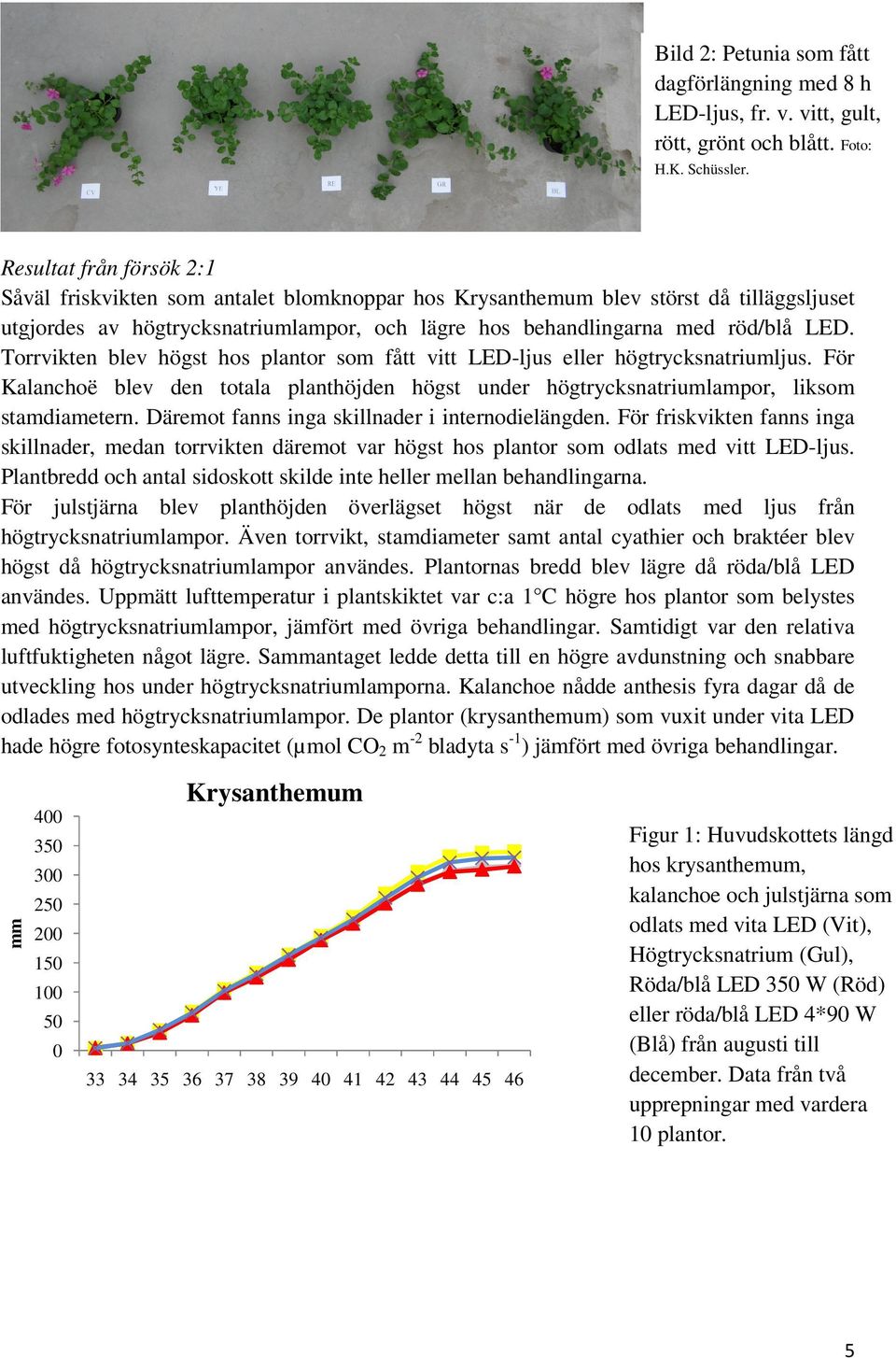 Torrvikten blev högst hos plantor som fått vitt LED-ljus eller högtrycksnatriumljus. För Kalanchoë blev den totala planthöjden högst under högtrycksnatriumlampor, liksom stamdiametern.