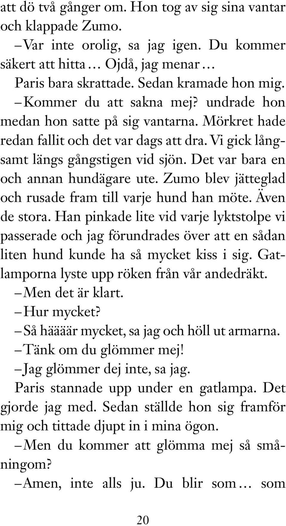 Det var bara en och annan hundägare ute. Zumo blev jätteglad och rusade fram till varje hund han möte. Även de stora.