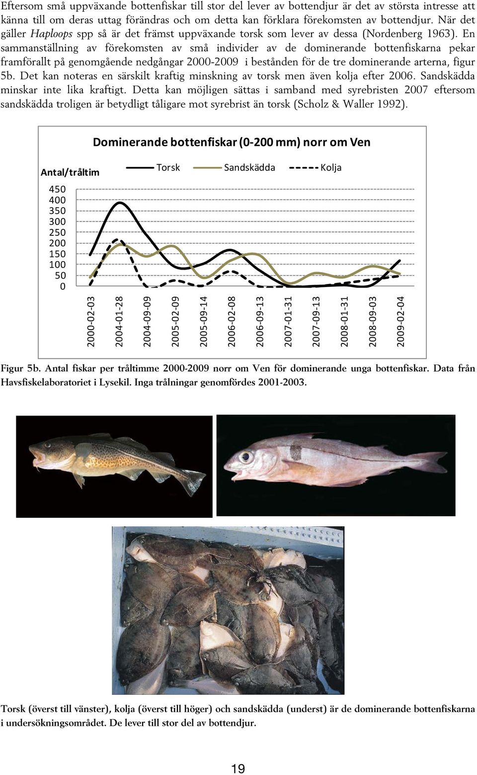 En sammanställning av förekomsten av små individer av de dominerande bottenfiskarna pekar framförallt på genomgående nedgångar 2000-2009 i bestånden för de tre dominerande arterna, figur 5b.