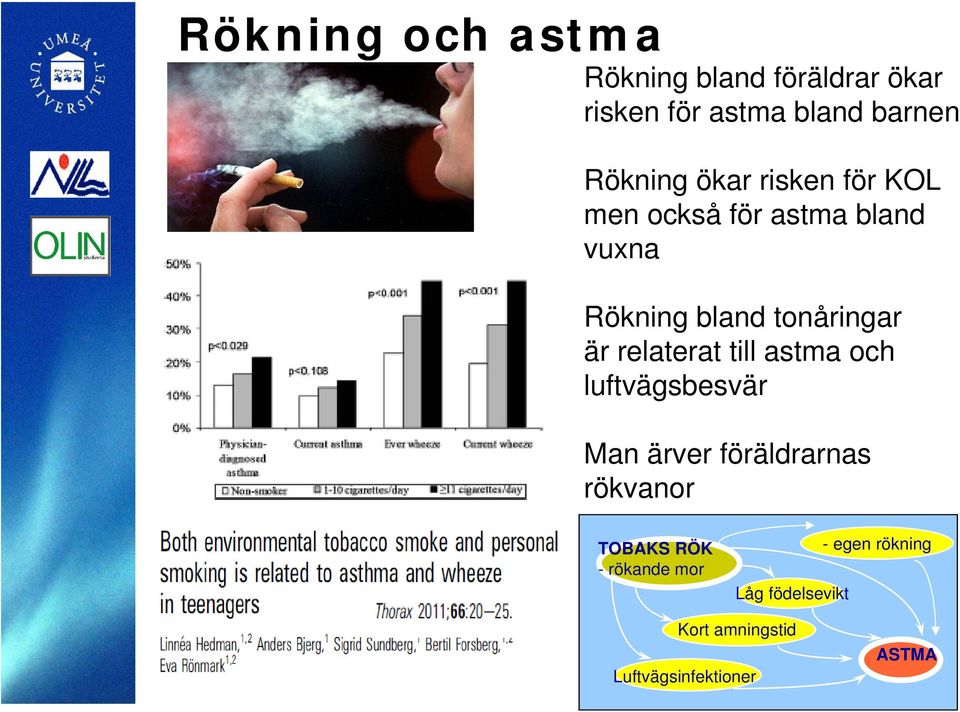 tonåringar är relaterat till astma och luftvägsbesvär Man ärver föräldrarnas