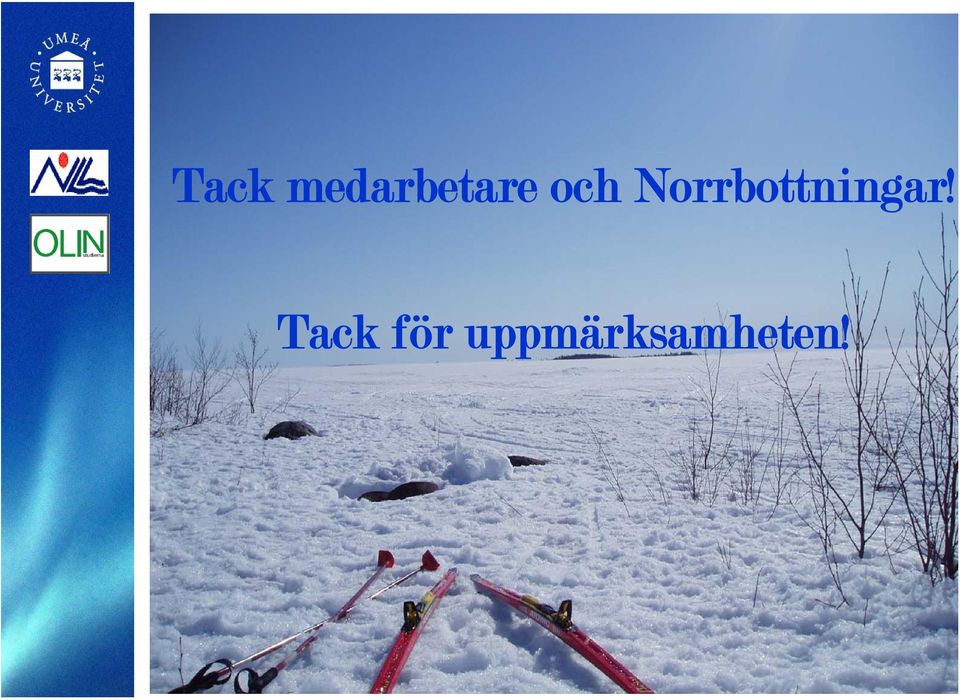 Norrbottningar!