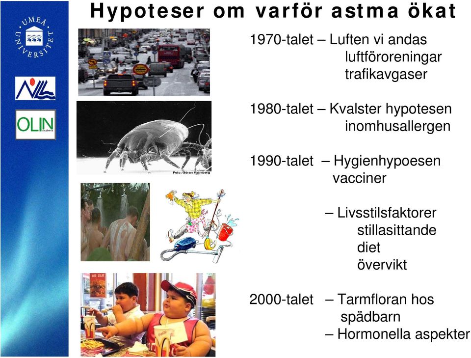 inomhusallergen 1990-talet Hygienhypoesen vacciner