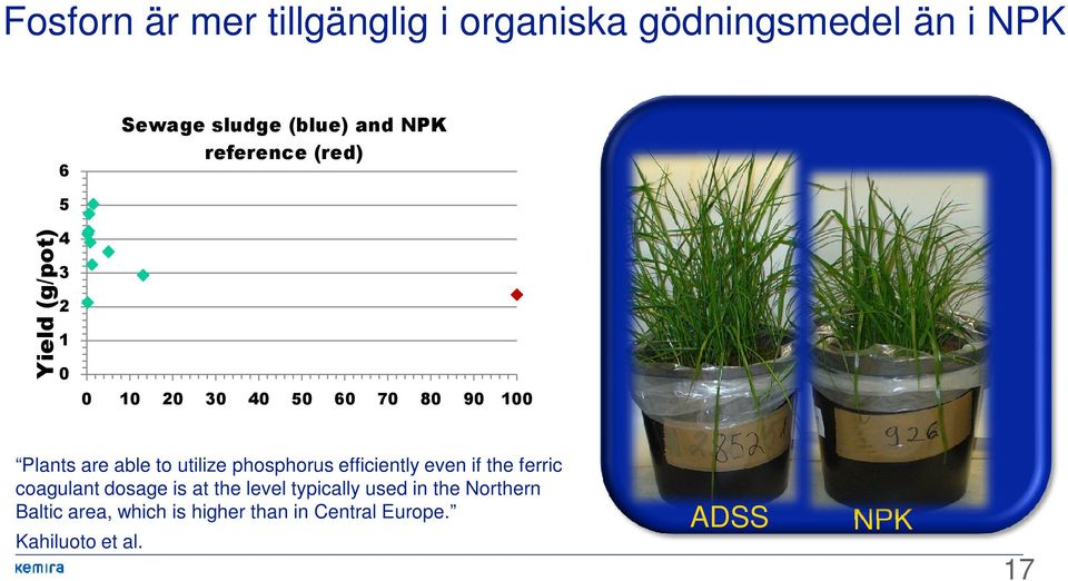 utilize phosphorus efficiently even if the ferric coagulant dosage is at the level typically