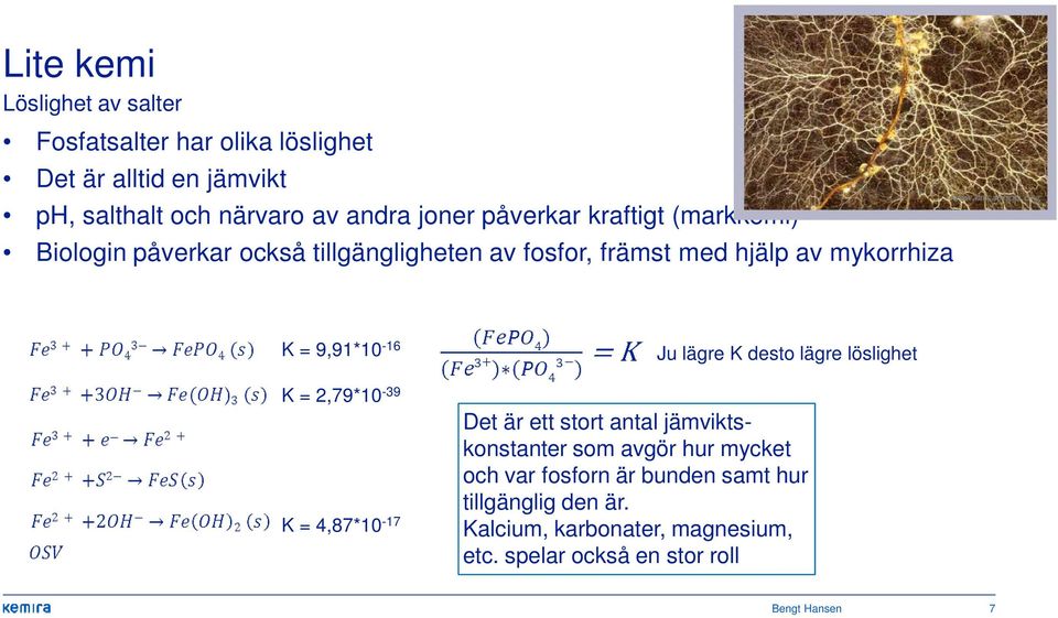 = 2,79*10-39 K = 4,87*10-17 Ju lägre K desto lägre löslighet Det är ett stort antal jämviktskonstanter som avgör hur mycket och