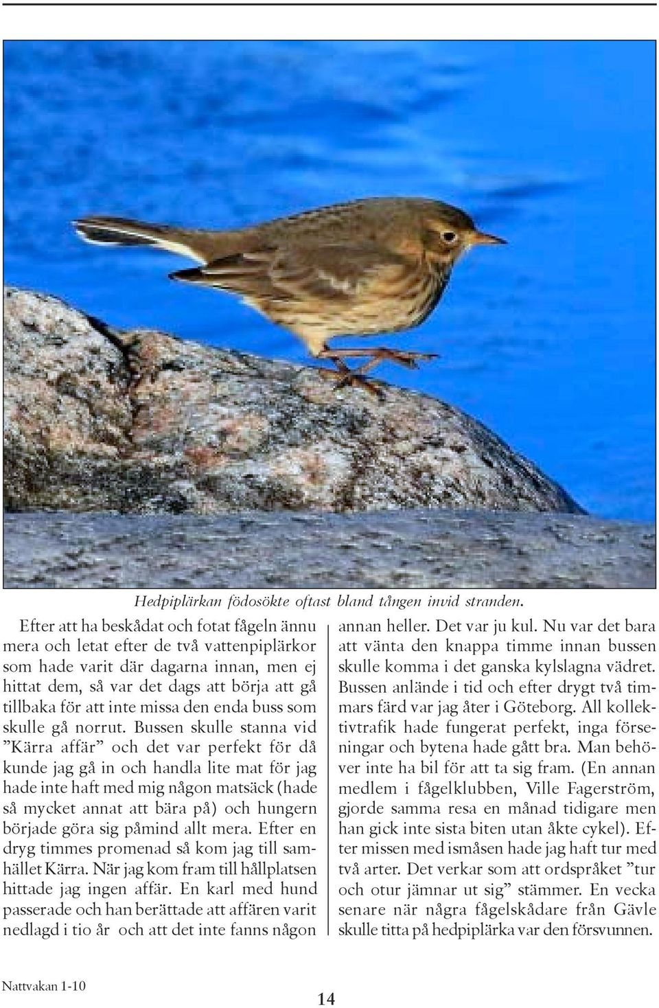 missa den enda buss som skulle gå norrut.
