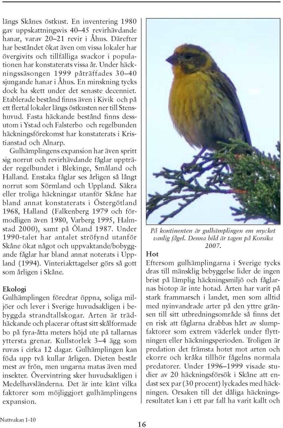 Under häckningssäsongen 1999 påträffades 30 40 sjungande hanar i Åhus. En minskning tycks dock ha skett under det senaste decenniet.