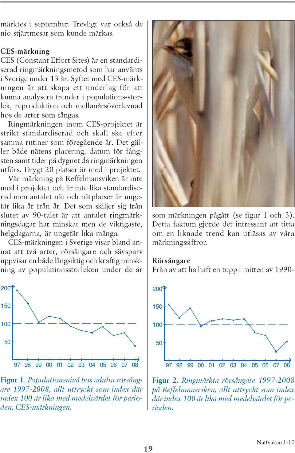 Ringmärkningen inom CES-projektet är strikt standardiserad och skall ske efter samma rutiner som föregående år.