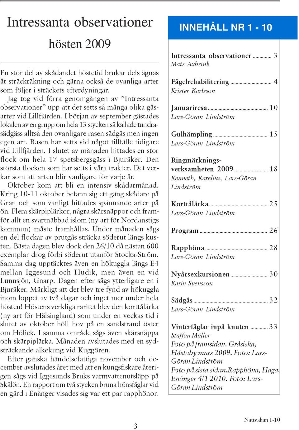 I början av september gästades lokalen av en grupp om hela 13 stycken så kallade tundrasädgäss alltså den ovanligare rasen sädgås men ingen egen art.