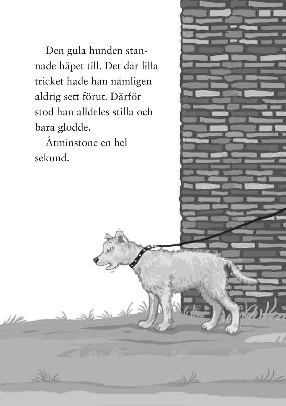 aldrig sett förut.