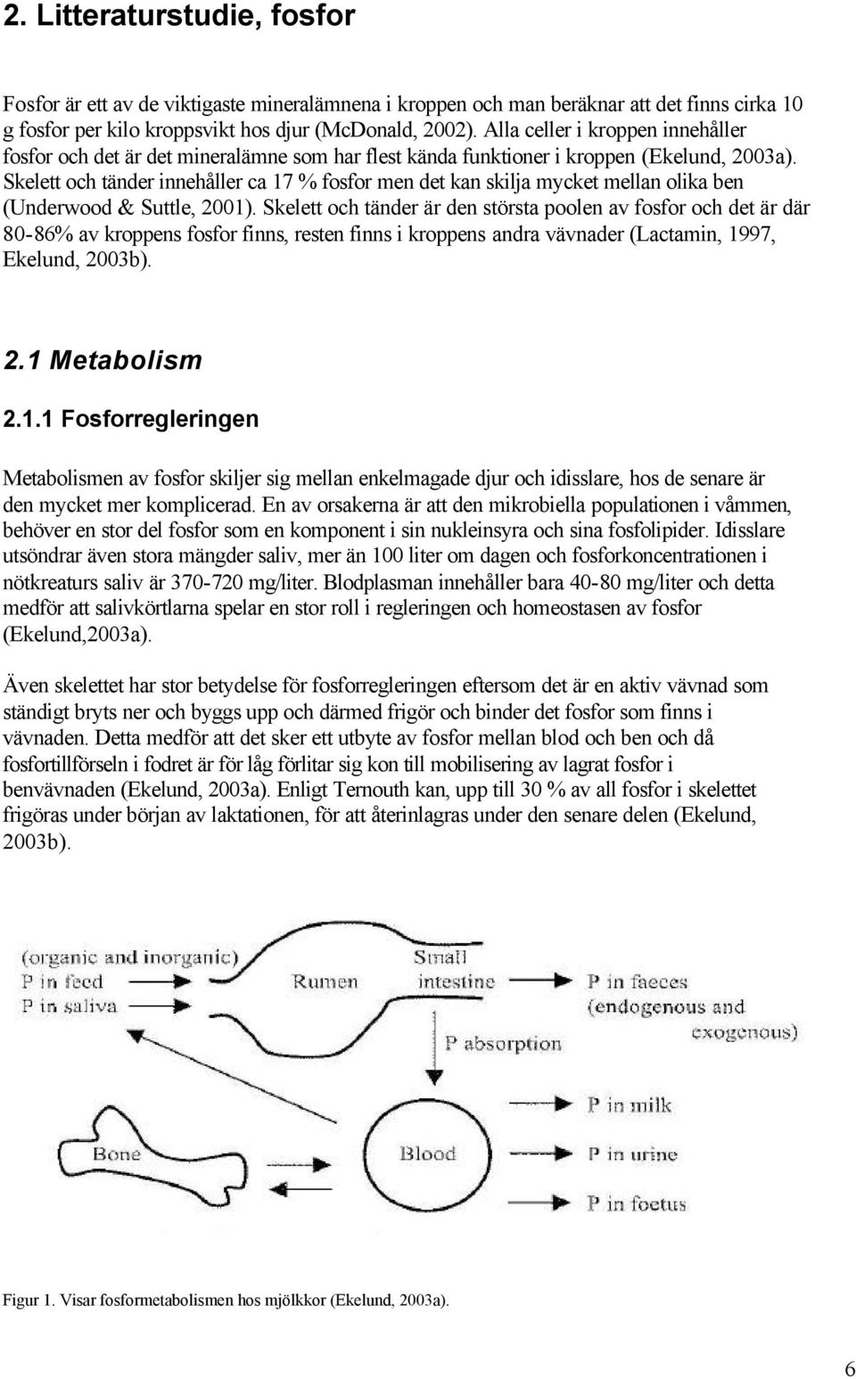 Skelett och tänder innehåller ca 17 % fosfor men det kan skilja mycket mellan olika ben (Underwood & Suttle, 2001).
