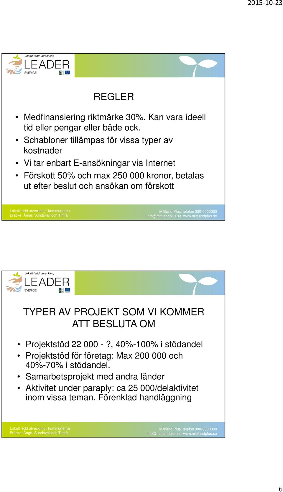 betalas ut efter beslut och ansökan om förskott TYPER AV PROJEKT SOM VI KOMMER ATT BESLUTA OM Projektstöd 22 000 -?