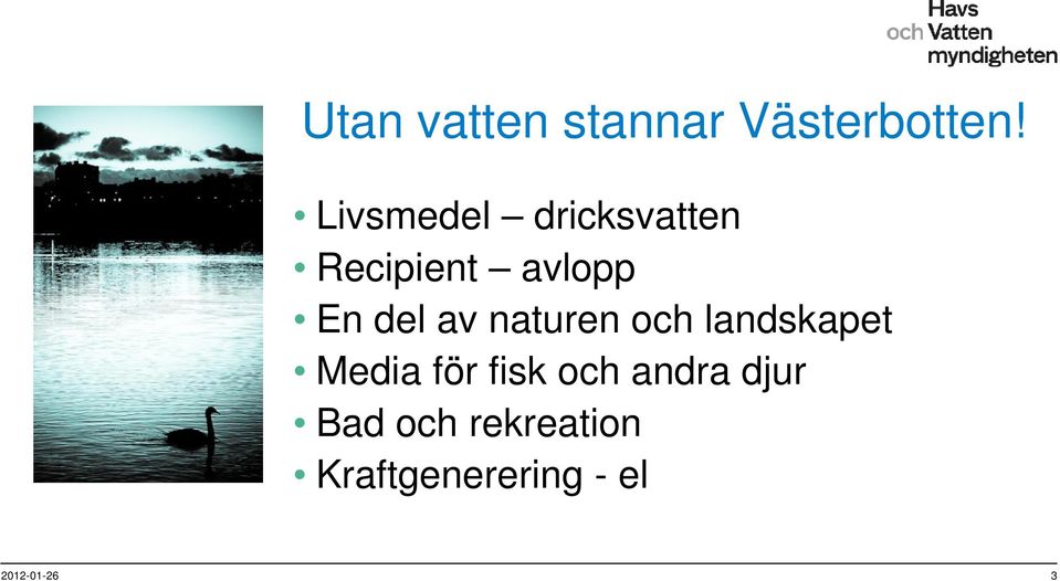 av naturen och landskapet Media för fisk och