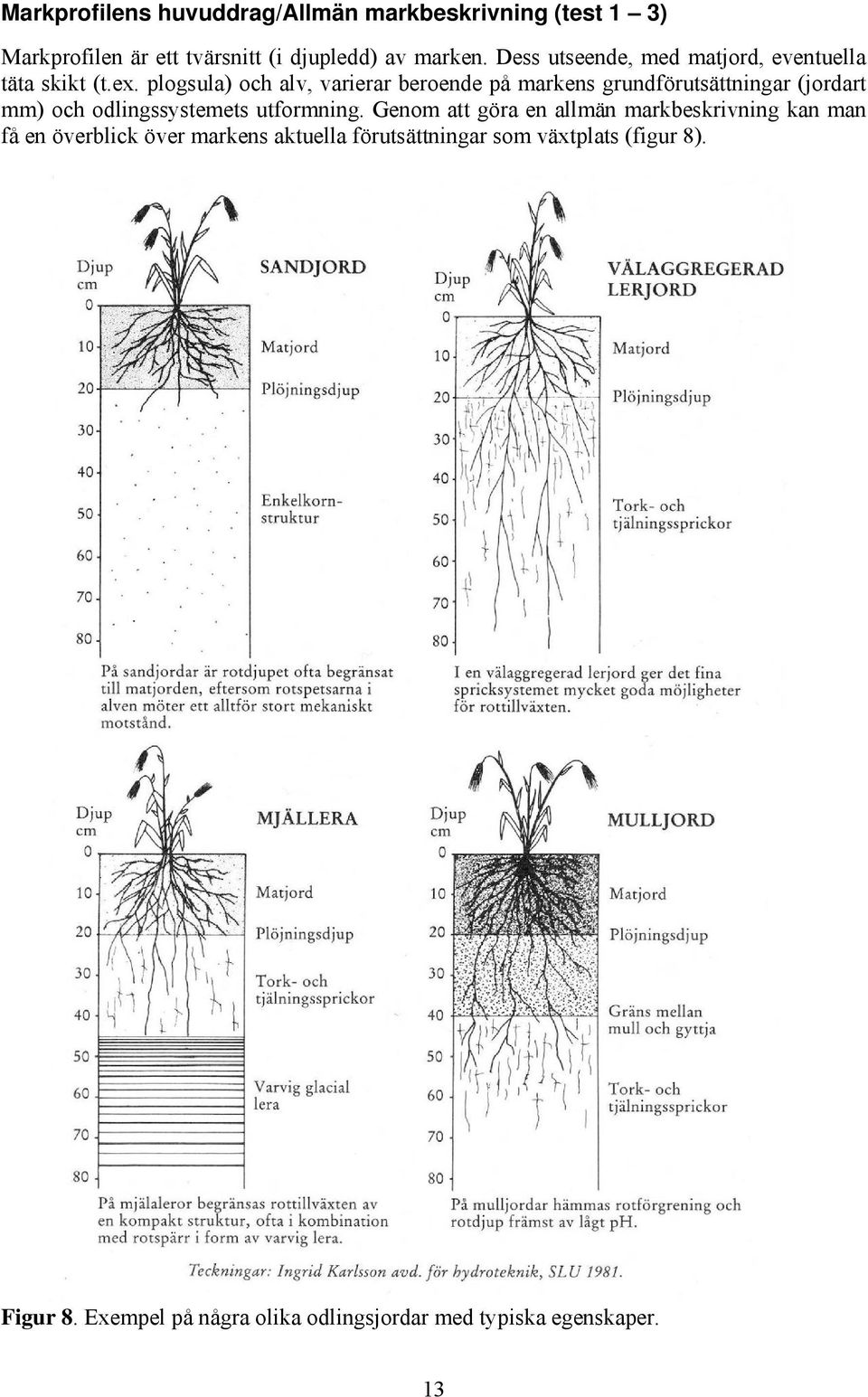 plogsula) och alv, varierar beroende på markens grundförutsättningar (jordart mm) och odlingssystemets utformning.