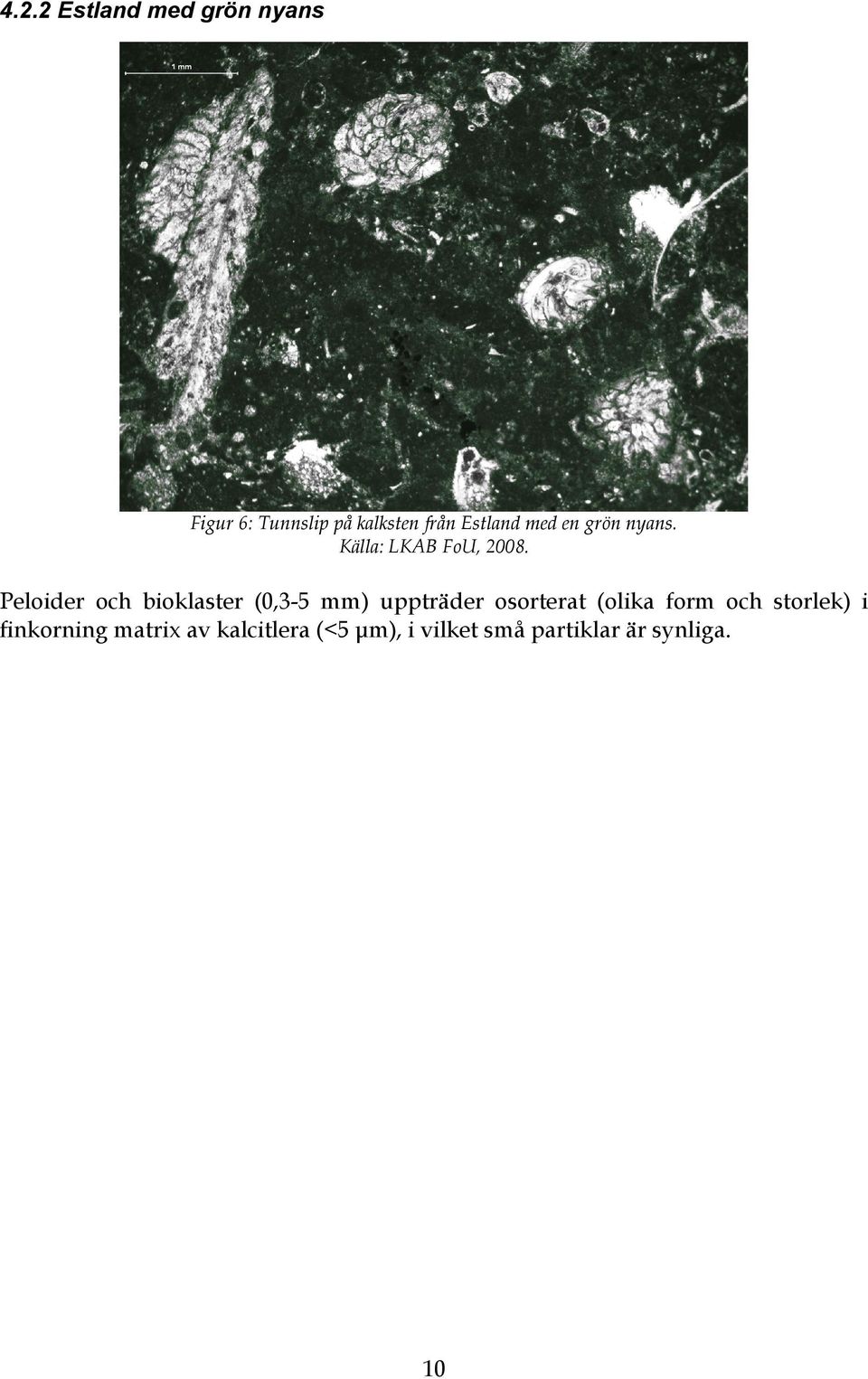 Peloider och bioklaster (0,3-5 mm) uppträder osorterat (olika form