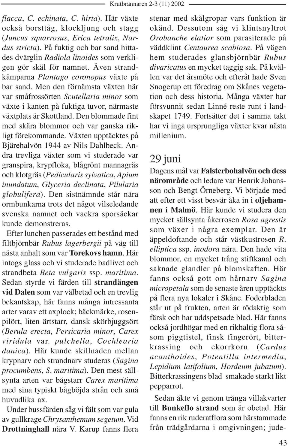Men den förnämsta växten här var småfrossörten Scutellaria minor som växte i kanten på fuktiga tuvor, närmaste växtplats är Skottland.