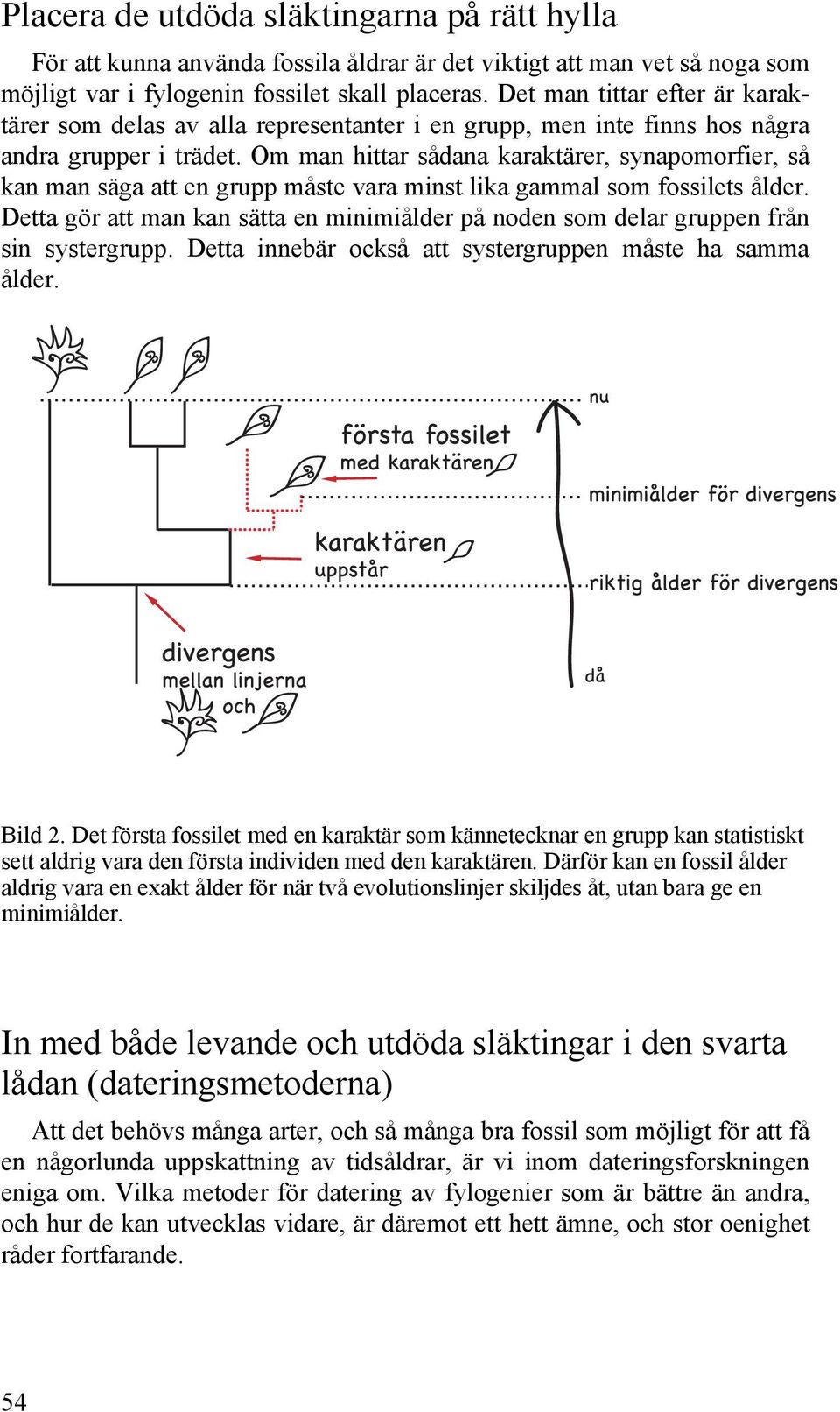 Om man hittar sådana karaktärer, synapomorfier, så kan man säga att en grupp måste vara minst lika gammal som fossilets ålder.