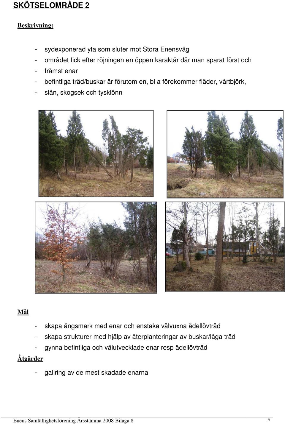 - skapa ängsmark med enar och enstaka välvuxna ädellövträd - skapa strukturer med hjälp av återplanteringar av buskar/låga träd - gynna