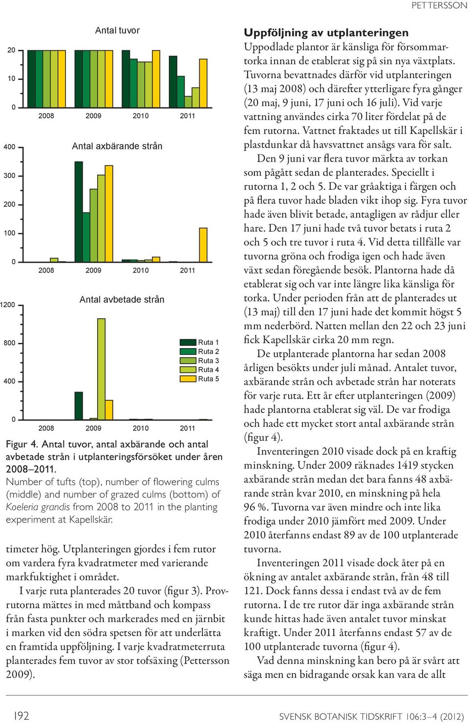 Number of tufts (top), number of flowering culms (middle) and number of grazed culms (bottom) of Koeleria grandis from 28 to 211 in the planting experiment at Kapellskär. timeter hög.