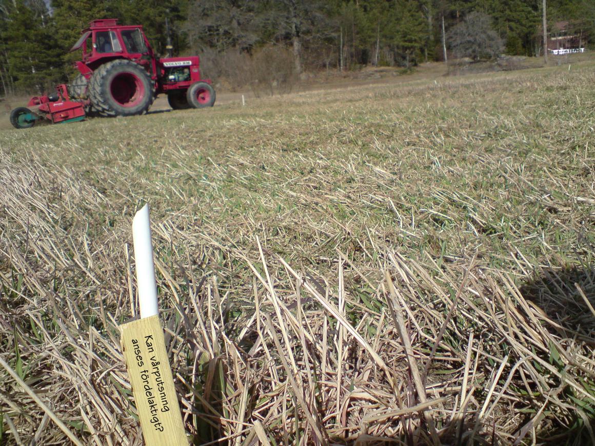 CUTTING OF TIMOTHY AND MEADOW FESCUE Fakulteten för Landskapsplanering,