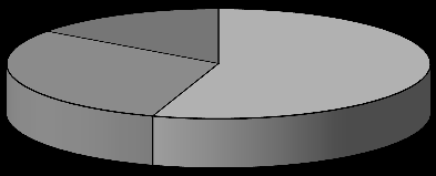 Omsättning & Tillväxt (%) EBIT (justerad) & Marginal (%) 1600 1400 1200 1000 800 600 400 200 0 2008 2009 2010 2011 2012e 2013e Omsättning Försäljningstillväxt Vinst Per Aktie Soliditet &