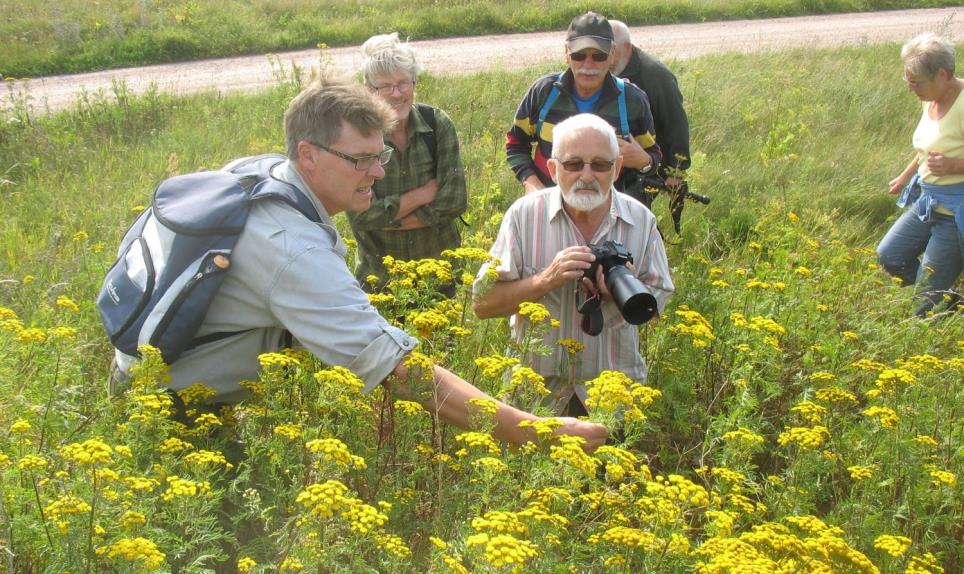 Onsdag 3 augusti kl 18.00 Flora-och kulturvandring vid Sporrakulla med Kenth Ljungberg.