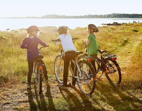 åtgärder i gällande plan ska genomföras Av fyrstegsprincipens fyra steg -