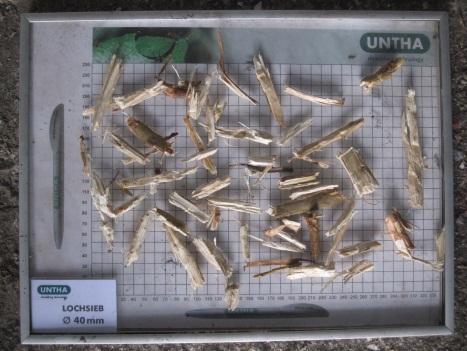 Lagring/torkning Omgivning Material Mikrobiell aktivitet Temperatur