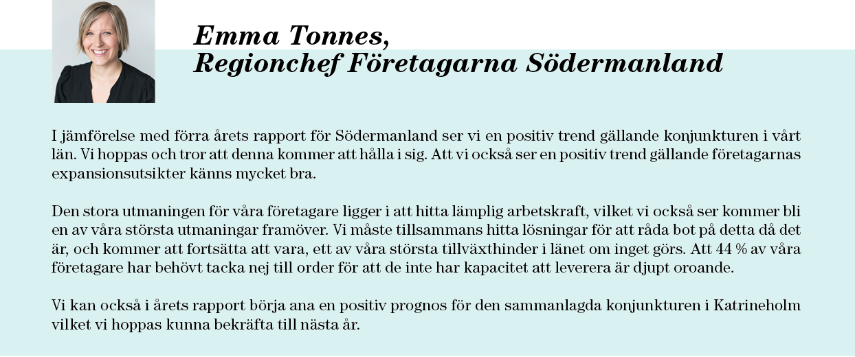 lågteknologisk tillverkningsindustri. 5 Många av dessa branscher befinner sig i en rationaliseringsfas där sysselsättningen minskar.