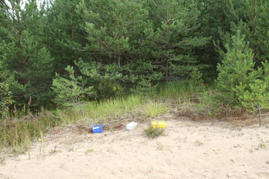 Metodbeskrivning Metod Metoden som använts i denna inventering är färgskålar, det vill säga gula, vita och blå plastbehållare som ställs ut tillsammans med som mest några meters avstånd från varandra.