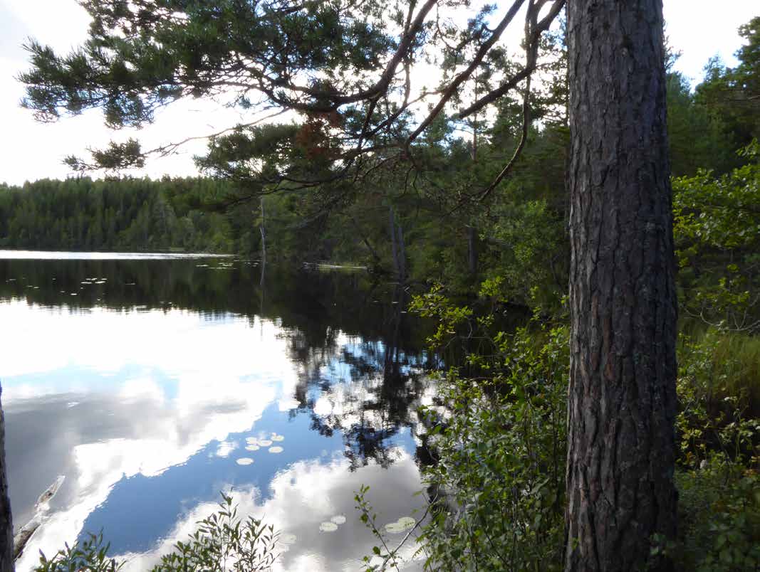 Information i denna beskrivning är baserad på ägarens uppgifter samt annat tillgängligt material. För felaktigheter, nuvarande eller eventuella kommande, i detta material ansvaras ej.